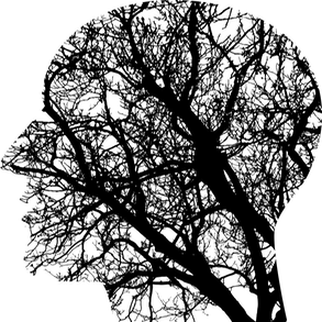 Ryddler